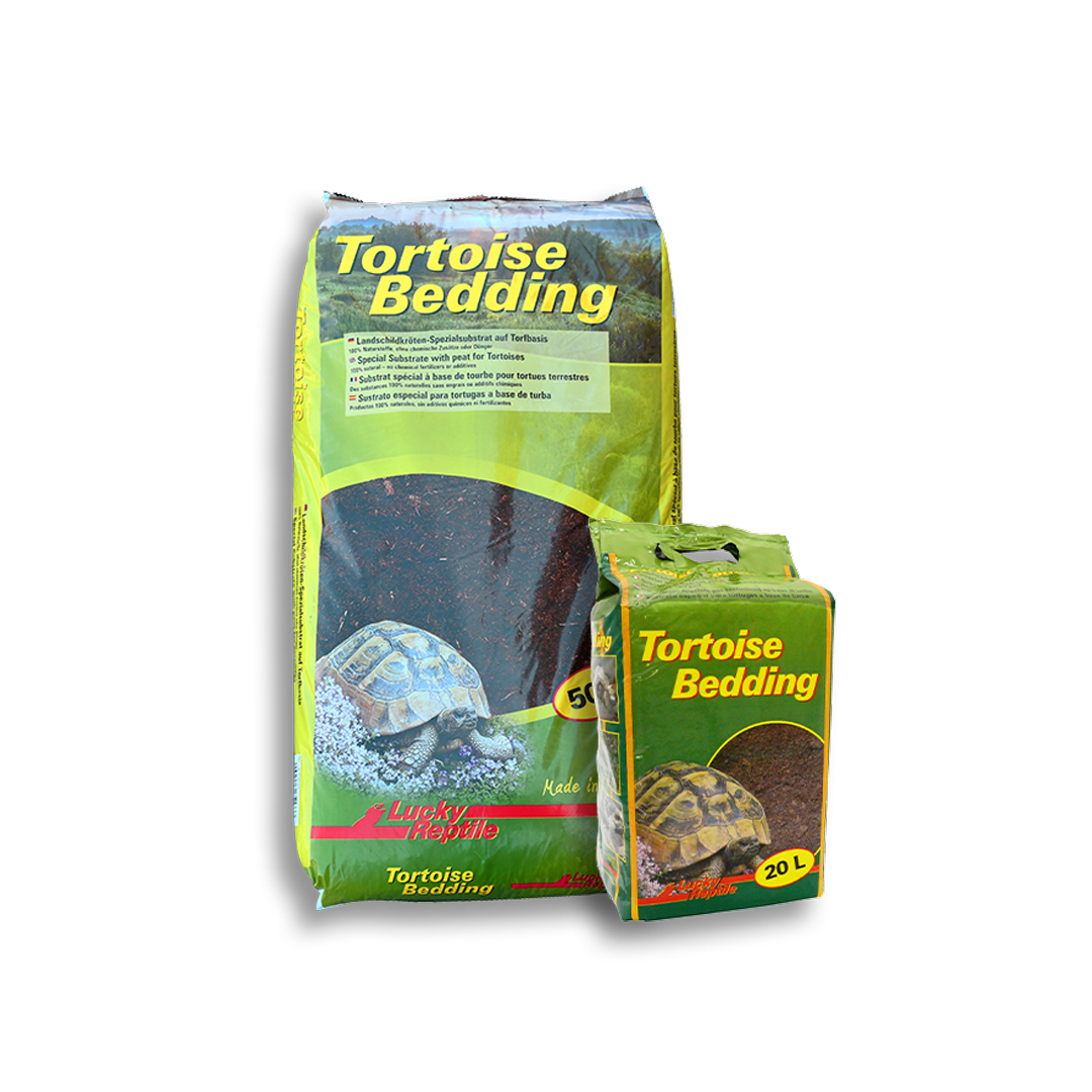 Lucky Reptiles